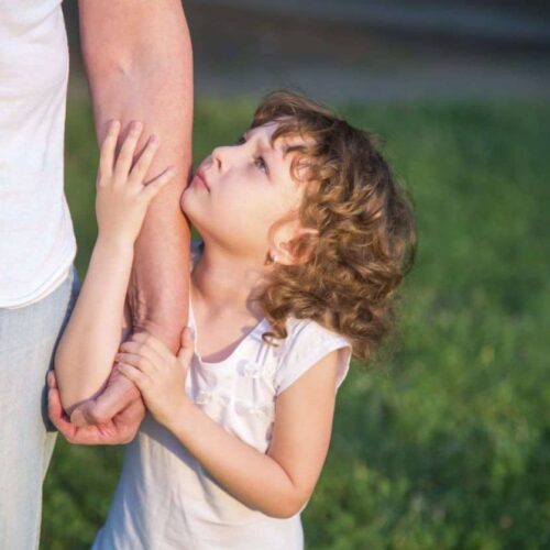 Child Custody Lawyer