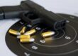 Legal Status of Guns in Florida