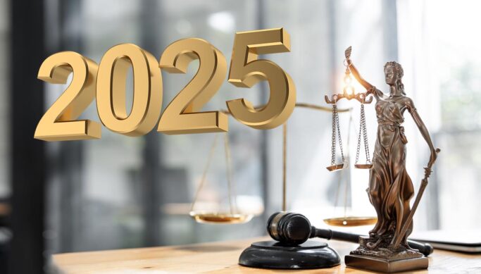 Legal Trends for the USA in 2025 Legal Trends for the USA in 2025